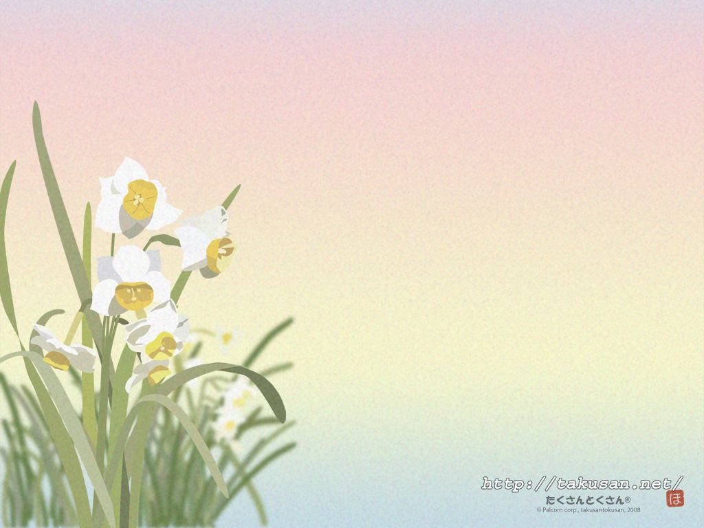 download name narcissus flower language narcissus tazetta var 