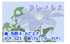 �T���̕ǎ��@�N���}�`�X