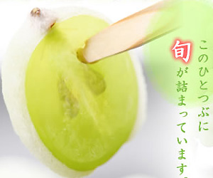 ひとつぶのマスカット