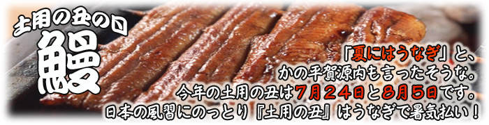 �y�p�̉N�̓�