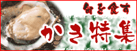 ���y���W