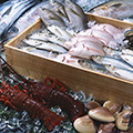 海にかこまれた日本。鮭祭りにマグロ祭り、ふぐまつりなど...