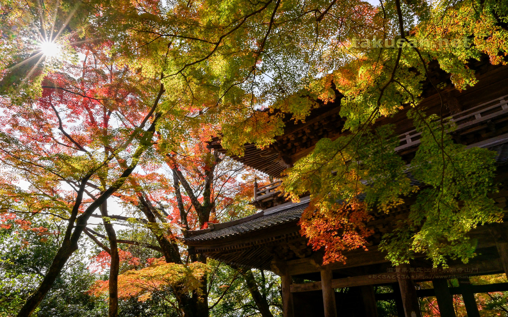 永源寺山門の紅葉の壁紙