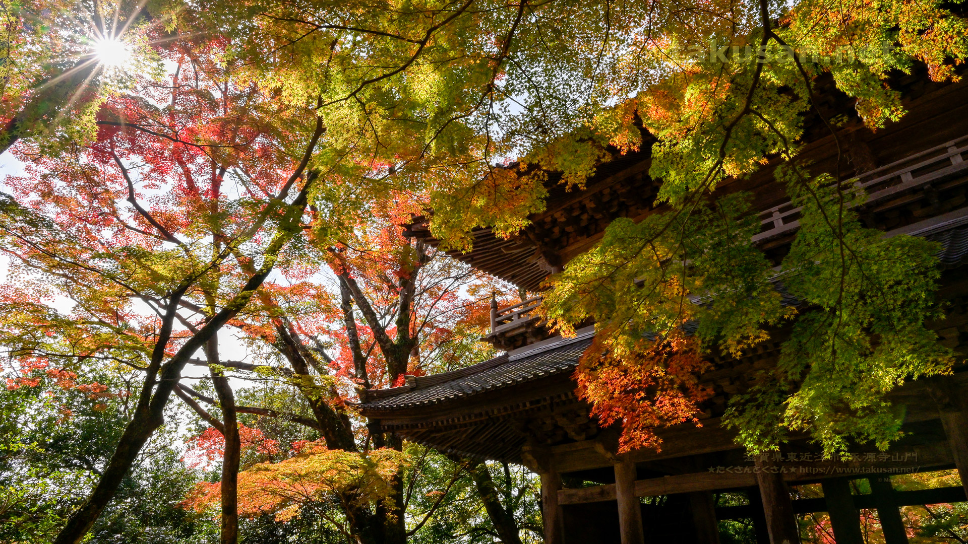 永源寺山門の紅葉の壁紙